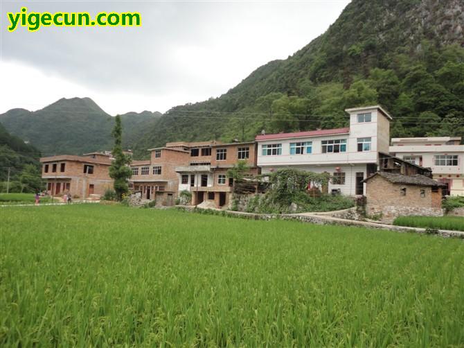 贵州省黔南布依族苗族自治州都匀市沙寨乡白头