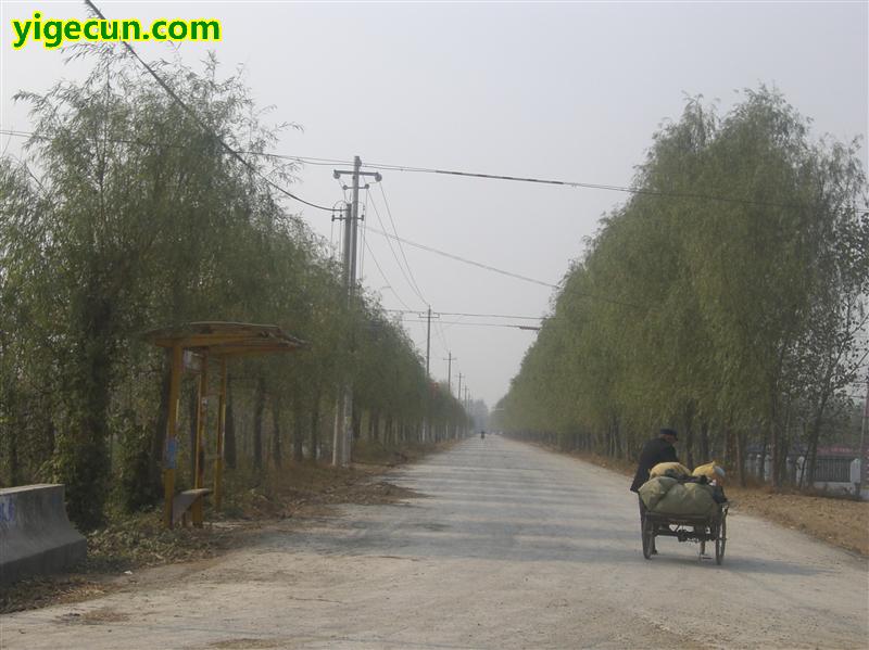 河南省周口市西华县聂堆镇寺都岗村