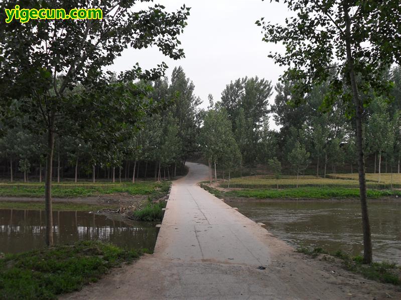 河南省安阳市内黄县高堤乡草坡村