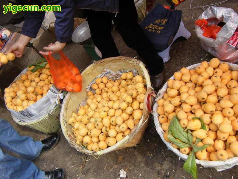 贵州省贵阳市开阳县南江乡龙广村