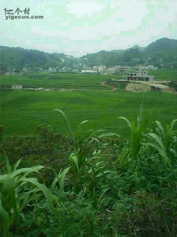 贵州省毕节市大方县响水乡沙湾村